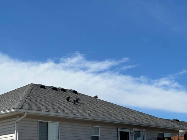 Best Storm Damage Roof Repair  in Kansas City, MO
