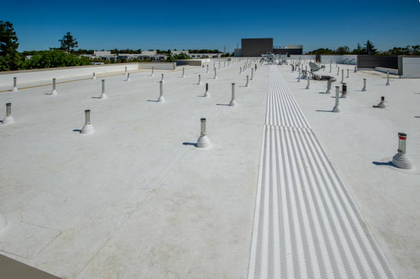 Best Sheet Metal Roofing  in Kansas City, MO